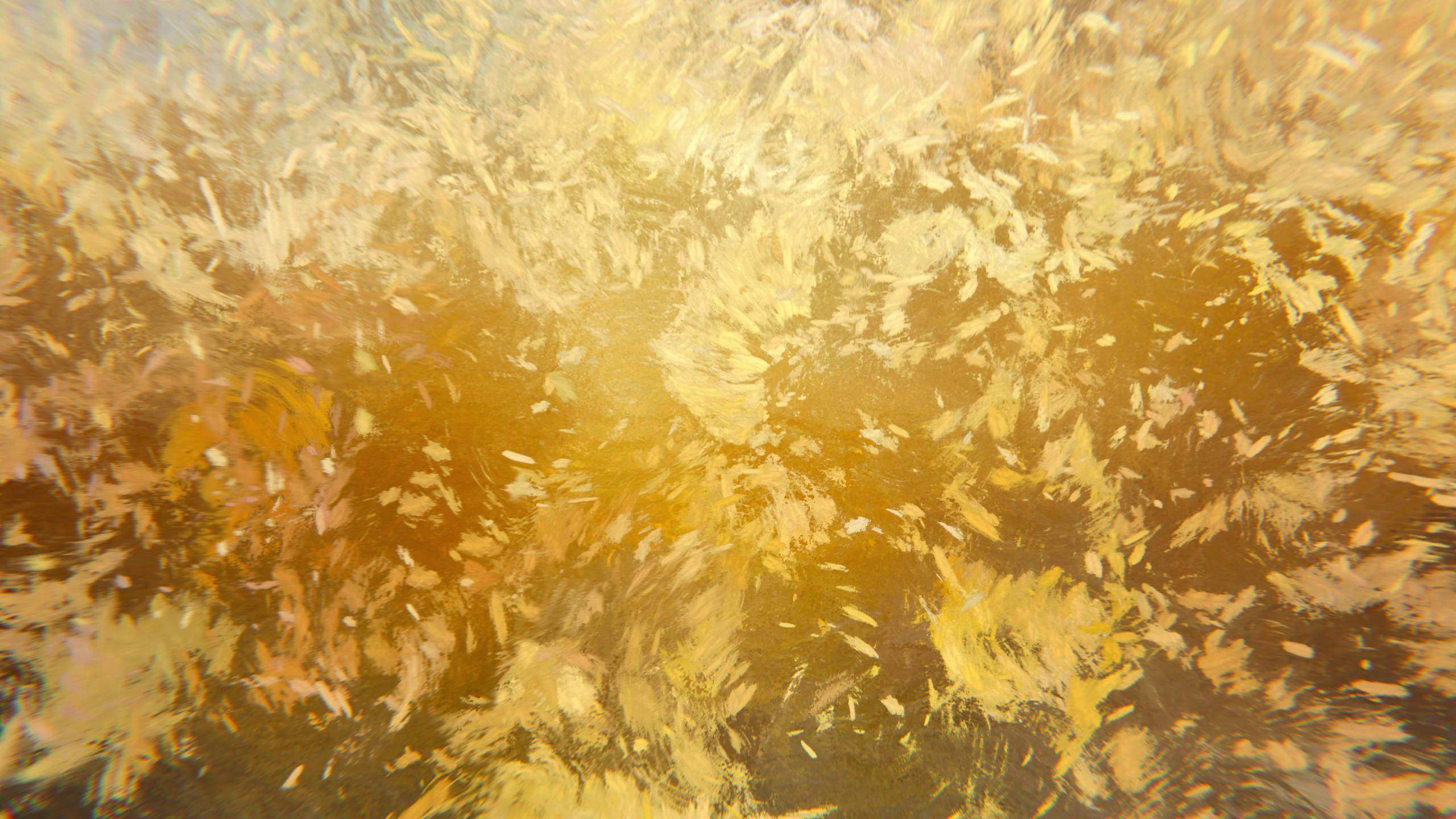 Memory of Turner No.1